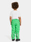 Didriksons laste kevad-sügis püksid IDUR, roheline цена и информация | Püksid poistele | hansapost.ee
