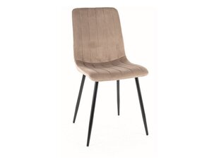 Комплект из 2 обеденных стульев Signal Alan Velvet, бежевый/черный цвет цена и информация | Стулья для кухни и столовой | hansapost.ee