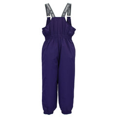 Детские утепленные штаны Huppa весна-осень FUNNY 40г, фиолетовый цвет цена и информация | Шорты для мальчиков | hansapost.ee