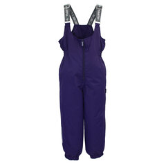 Детские утепленные штаны Huppa весна-осень FUNNY 40г, фиолетовый цвет цена и информация | Штаны для мальчиков | hansapost.ee