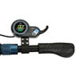 Elektriline tõukeratas Skate Flash ECHO 8.5", 350W, 25 km / h hind ja info | Elektritõukerattad | hansapost.ee