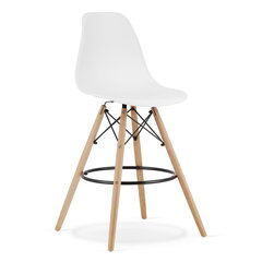 комплект из 2 стульев Leobert Lamal, белый/коричневый цена и информация | Стулья для кухни и столовой | hansapost.ee