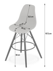 комплект из 2 стульев Leobert Lamal, белый/коричневый цена и информация | Стулья для кухни и столовой | hansapost.ee