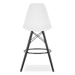 комплект из 2 стульев Leobert Lamal, белый/черный цена и информация | Стулья для кухни и столовой | hansapost.ee