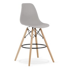 3 tooli Leobert Lamal, hall/pruun komplekt hind ja info | Köögitoolid, söögitoolid | hansapost.ee