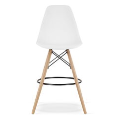 комплект из 4 стульев Leobert Lamal, белый/коричневый цена и информация | Стулья для кухни и столовой | hansapost.ee