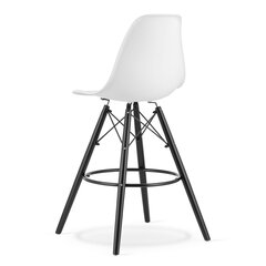 комплект из 4 стульев Leobert Lamal, белый/черный цена и информация | Стулья для кухни и столовой | hansapost.ee