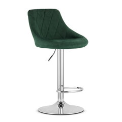 2 tooli Leobert Kast, roheline/hõbedane komplekt hind ja info | Köögitoolid, söögitoolid | hansapost.ee