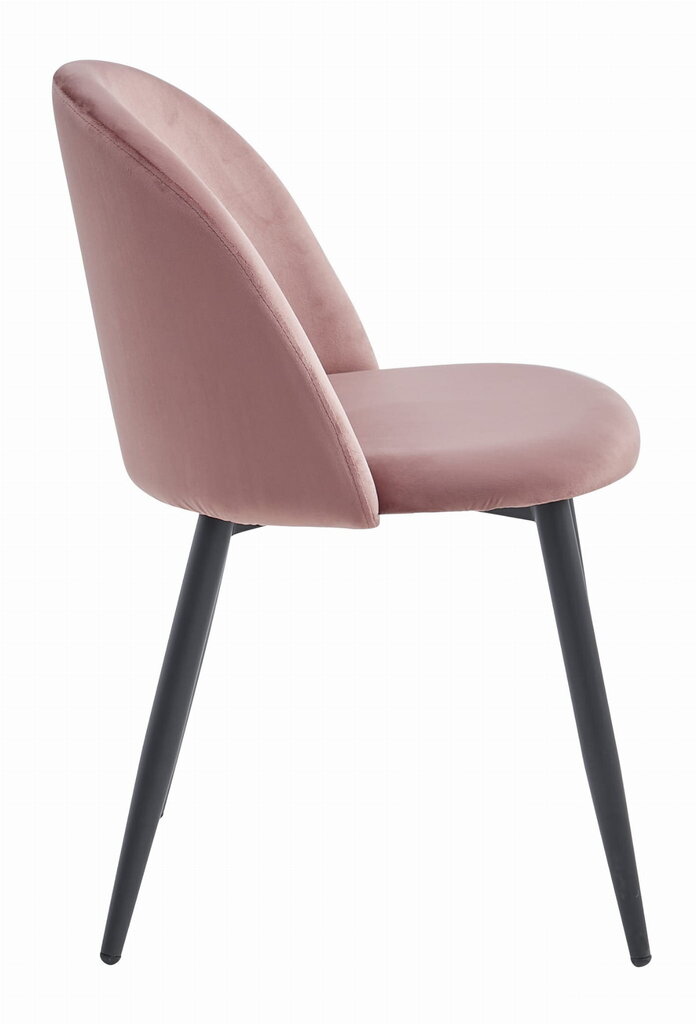 4 tooli Leobert Bello, roosa/must komplekt цена и информация | Köögitoolid, söögitoolid | hansapost.ee