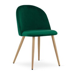 Komplektis 3 tooli Leobert Bello, roheline/pruun цена и информация | Стулья для кухни и столовой | hansapost.ee