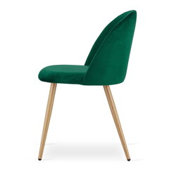 2 tooli Leobert Bello, roheline/pruun komplekt hind ja info | Köögitoolid, söögitoolid | hansapost.ee