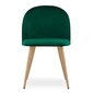 2 tooli Leobert Bello, roheline/pruun komplekt цена и информация | Köögitoolid, söögitoolid | hansapost.ee