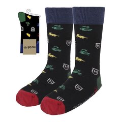 Harry Potteri sokid price and information | Socks for women | hansapost.ee