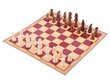 Strateegiamäng Chess Jawa цена и информация | Lauamängud ja mõistatused perele | hansapost.ee