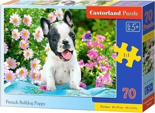 Castorland Puzzle 70 French bulldog puppy CASTOR цена и информация | Пазлы | hansapost.ee