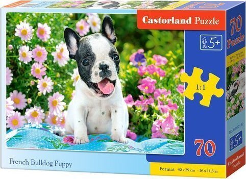 Pusle Castorland French bulldog puppy, 70 tk цена и информация | Pusled lastele ja täiskasvanutele | hansapost.ee