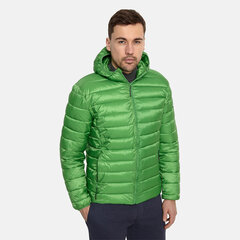 Мужская утепленная куртка Huppa весна-осень STEVO 2, зеленый цвет цена и информация | Huppa Мужская одежда | hansapost.ee