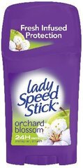 Дезодорант-карандаш Lady Speed ​​Stick Orchard Blossom, 45 г цена и информация | Дезодоранты | hansapost.ee