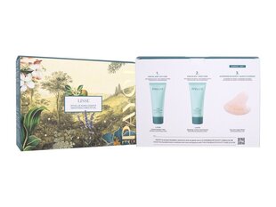 Näonaha hoolduskomplekt Payot Lisse: kortsudevastane näokreem, 30 ml + taastav näokreem, 30 ml price and information | Face creams | hansapost.ee