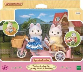 фигурки эпохи sylvanian families цена и информация | Игрушки для мальчиков | hansapost.ee