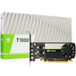 Leadtek Nvidia T1000 (900-5G172-2570-000) цена и информация | Videokaardid | hansapost.ee