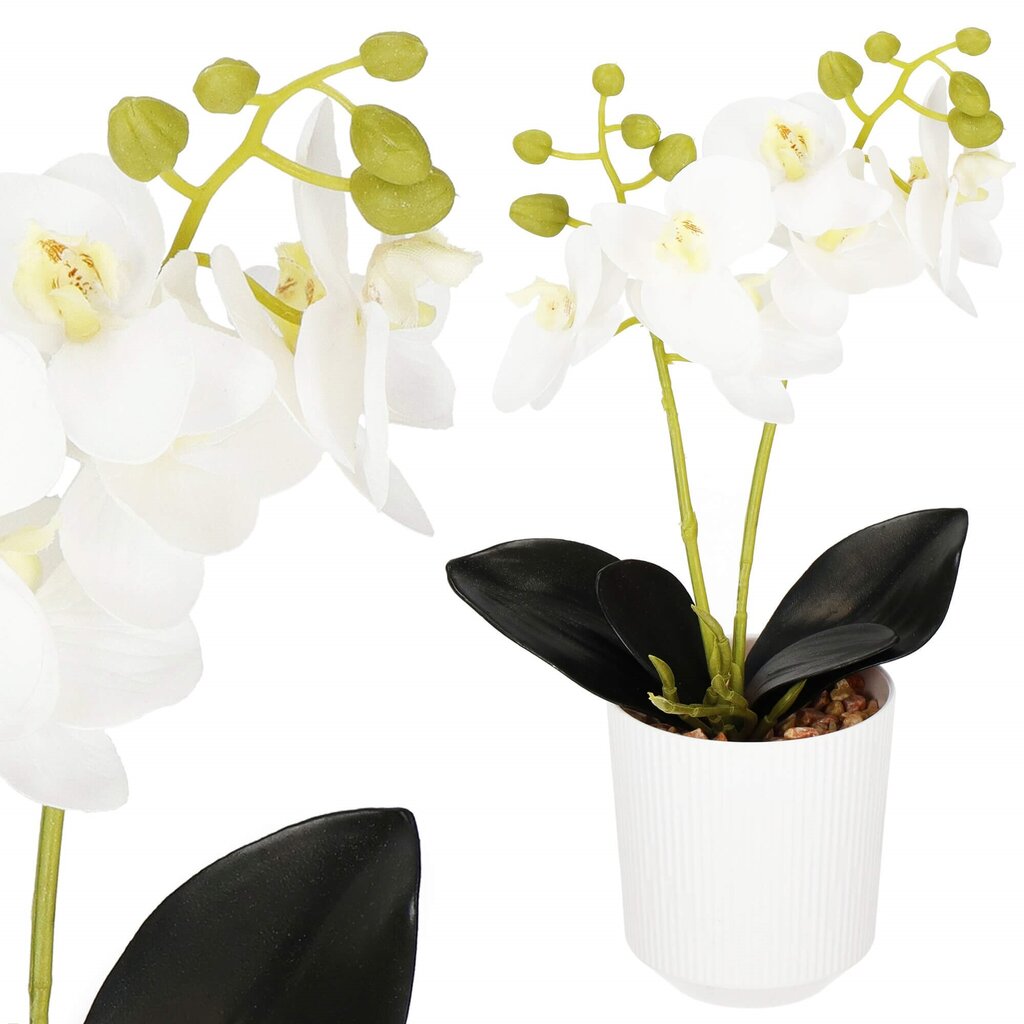 Kunstlik orhidee Springos HA7423 hind ja info | Kunstlilled | hansapost.ee