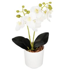 Искусственная орхидея Спрингос HA7423 цена и информация | Искусственные цветы | hansapost.ee
