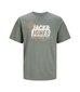 Jack & Jones meeste T-särk 12252376*01, hall цена и информация | T-särgid meestele | hansapost.ee