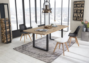 Обеденный стол Tables&amp;Co, коричневый цена и информация | Кухонные и обеденные столы | hansapost.ee