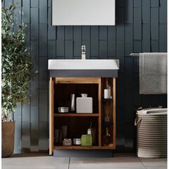 Тумба для ванной комнаты с умывальником Euroliux, коричневый/белый цена и информация | Шкафчики для ванной | hansapost.ee
