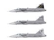 Konstruktor Italeri Saab JAS 39 Gripen 1306 hind ja info | Liimitavad mudelid | hansapost.ee