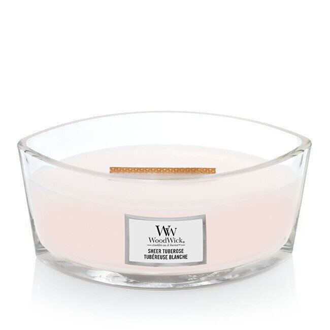 WoodWick Ellipse Sheer Tuberose lõhnaküünal 453,6 g hind ja info | Küünlad, küünlajalad | hansapost.ee