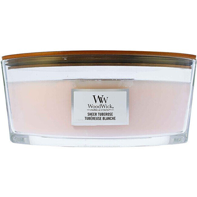 WoodWick Ellipse Sheer Tuberose lõhnaküünal 453,6 g цена и информация | Küünlad, küünlajalad | hansapost.ee