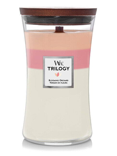 WoodWicki lõhnaküünal Trilogy Blooming Orchard 609 g hind ja info | Küünlad, küünlajalad | hansapost.ee