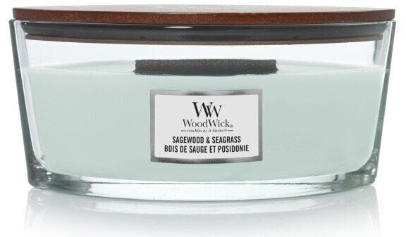 WoodWick Ellipse Sagewood &amp; Seagrass lõhnaküünal 453,6 g цена и информация | Küünlad, küünlajalad | hansapost.ee