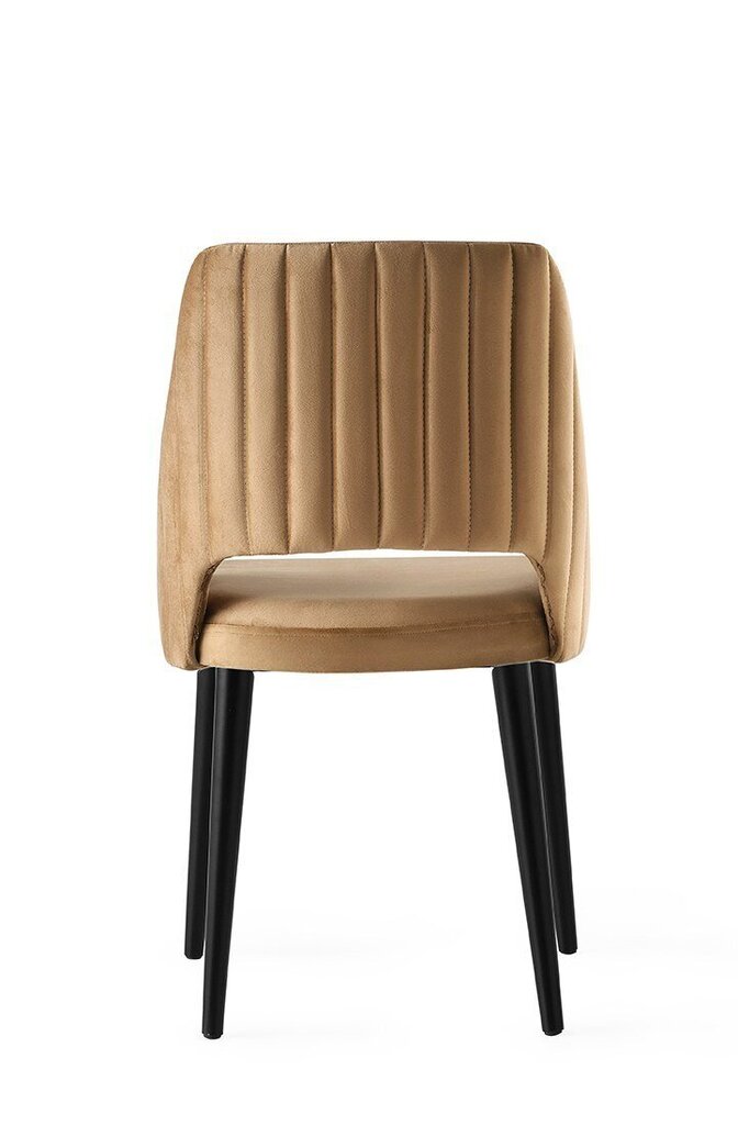 Komplektis 4 tooli Kalune Design Acelya, pruun hind ja info | Köögitoolid, söögitoolid | hansapost.ee