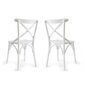 Komplektis 2 tooli Kalune Design Albero 19, valge цена и информация | Köögitoolid, söögitoolid | hansapost.ee