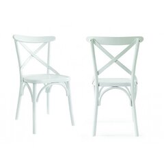 Komplektis 2 tooli Kalune Design Albero 19, valge цена и информация | Стулья для кухни и столовой | hansapost.ee