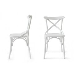 Komplektis 2 tooli Kalune Design Albero 19, valge цена и информация | Стулья для кухни и столовой | hansapost.ee