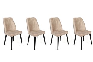 комплект из 4 стульев Kalune Design Alfa 434 V4, бежевый/черный цена и информация | Стулья для кухни и столовой | hansapost.ee