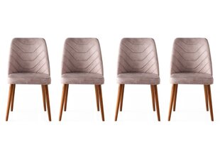4 tooliga komplekt Kalune Design Dallas 555 V4, hall hind ja info | Köögitoolid, söögitoolid | hansapost.ee