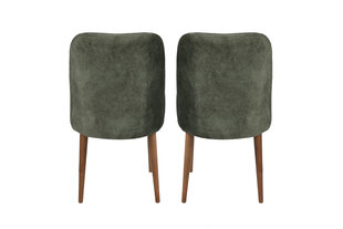 2 tooliga komplekt Kalune Design Dallas 558 V2, roheline hind ja info | Köögitoolid, söögitoolid | hansapost.ee