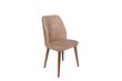 Komplektis 2 tooli Kalune Design Dallas 553 V2, beež цена и информация | Köögitoolid, söögitoolid | hansapost.ee