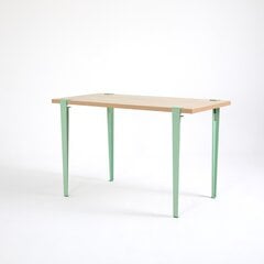 Обеденный стол Asir Eurotas, коричневый/зеленый цена и информация | Кухонные и обеденные столы | hansapost.ee