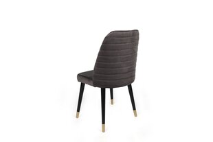 Komplektis 4 tooli Kalune Design Hugo 361 V4, hall hind ja info | Köögitoolid, söögitoolid | hansapost.ee
