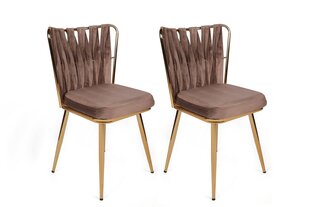 Комплект из 4 стульев Kalune Design Kusakli 213 V4, коричневый цена и информация | Стулья для кухни и столовой | hansapost.ee