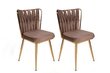 4 tooliga komplekt Kalune Design Kusakli 213 V4, pruun цена и информация | Köögitoolid, söögitoolid | hansapost.ee