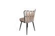 4 tooli komplekt Kalune Design Kusakli 221 V4, beež цена и информация | Köögitoolid, söögitoolid | hansapost.ee