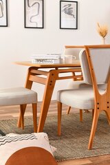 комплект из 2 стульев Asir Palace v2, коричневый/белый цена и информация | Стулья для кухни и столовой | hansapost.ee