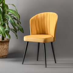 4 tooliga komplekt Kalune Design Rubi, kollane hind ja info | Köögitoolid, söögitoolid | hansapost.ee
